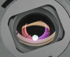 DSCN9865.jpg