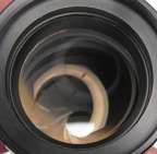 DSCN4537.jpg