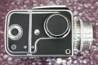 MG_3444.jpg