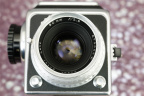 MG_3447.jpg