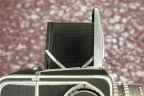 MG_3451.jpg