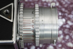 MG_3456.jpg