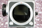 MG_3458.jpg