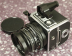 MG_5712.jpg