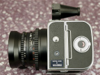 MG_5713.jpg