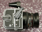 MG_5714.jpg