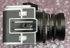 MG_5721.jpg
