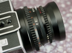 MG_5722.jpg