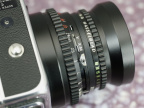 MG_5724.jpg