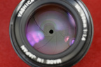 MG_9522.jpg