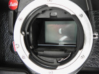 DSCN0738 (135 visits) DSCN0738