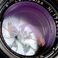 DSCN0437